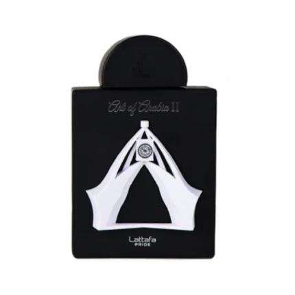 Art of Arabia II Lattafa Eau de Parfum Homme 100ml