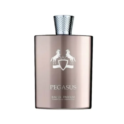 Pegasus Fragrance World Parfum Homme 100ml flacon